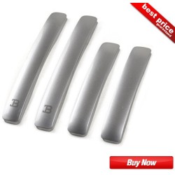 Buy Black Label (BL) Silver SimpleLine Door Guards at low prices-RideoFrenzy